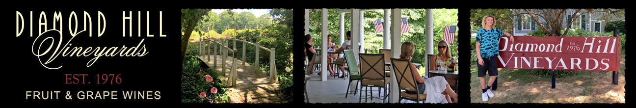 Close up of Pinot noir grapes, people drinking on the porch in summer, bridge to vineyard.